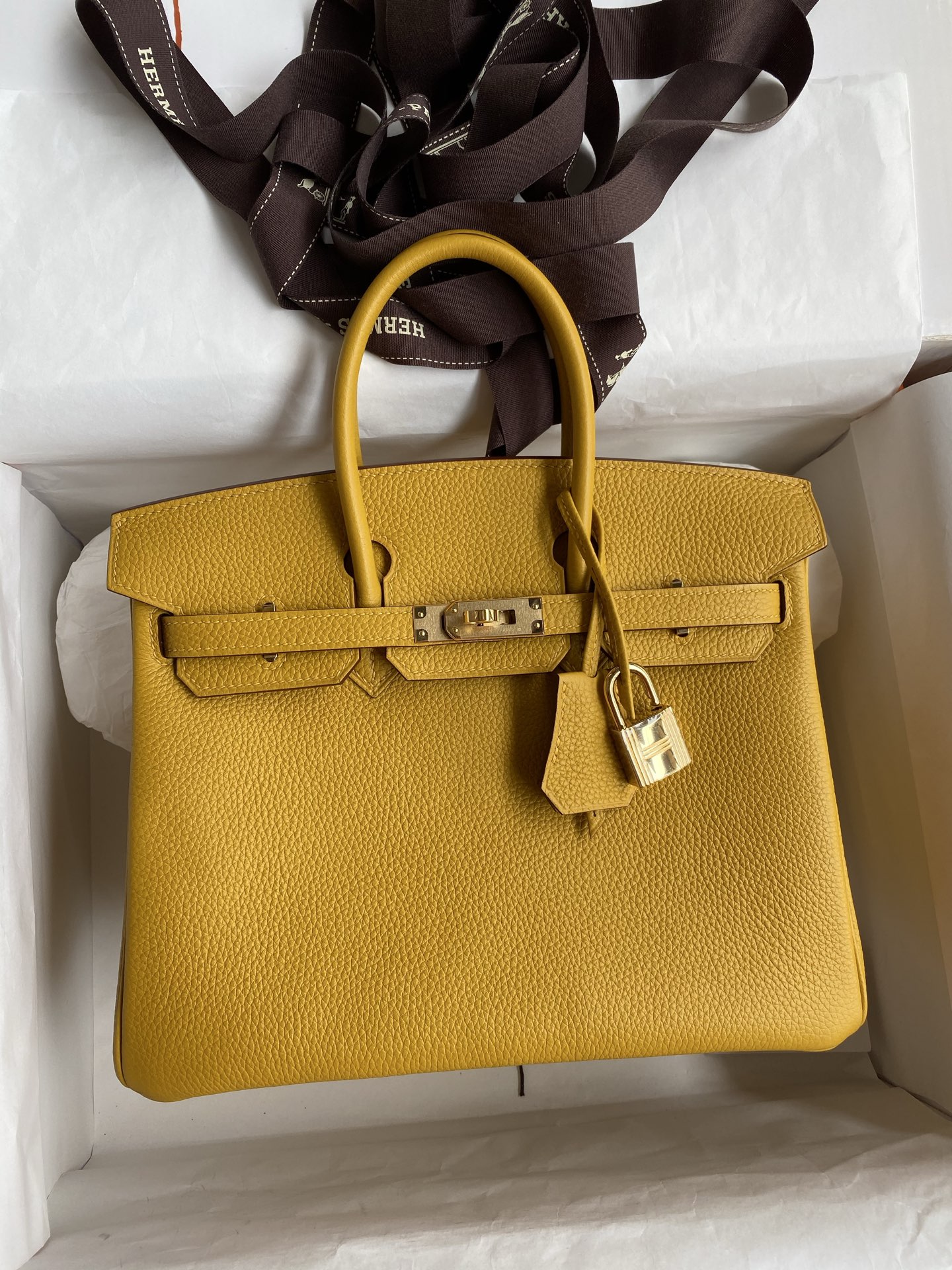 Birkin 25
